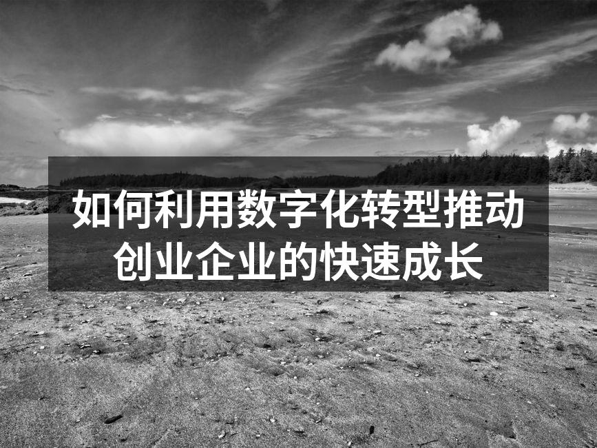 如何利用数字化转型推动创业企业的快速成长